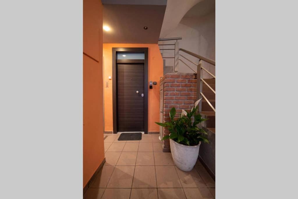 Apartmán Brand New Aprt With Backyard In Lycabettus Hill ! Atény Exteriér fotografie